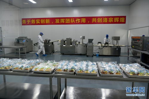 西藏洛隆 以青稞深加工技術開發，鋪就高原特色產業增收路