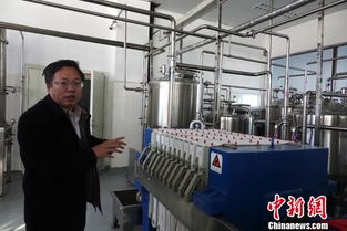 科技賦能，青稞煥新 西藏以創新技術驅動特色產業多元化發展